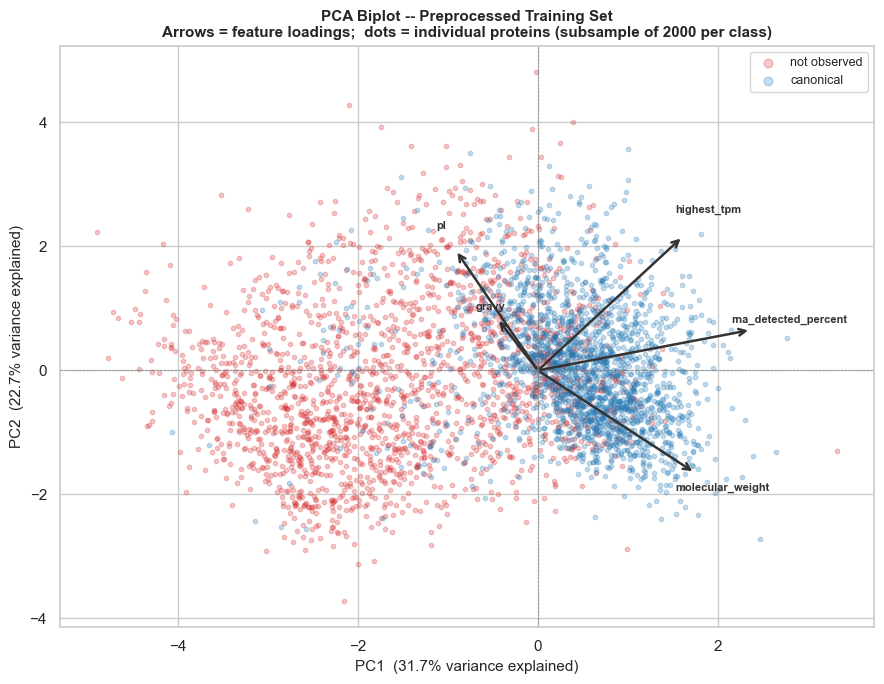 Horizontal bar chart of five-fold cross-validated balanced accuracy on the training set. The majority-class dummy sits at 0.50; the six classifier families score between about 0.79 (decision tree) and 0.85 (RBF SVM), each with a narrow error bar.